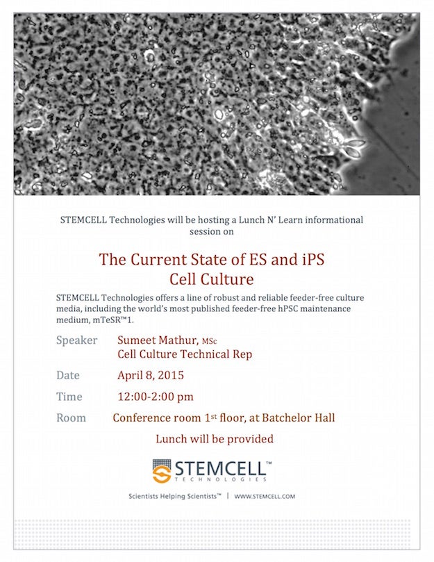 The Current State of ES and iPS Cell Culture