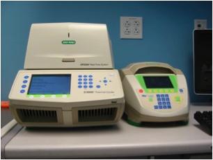 Molecular Biology | Stem Cell Center