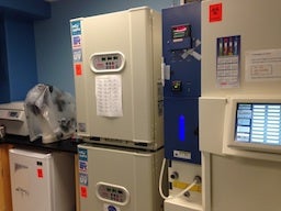 Cell Culture | Stem Cell Center