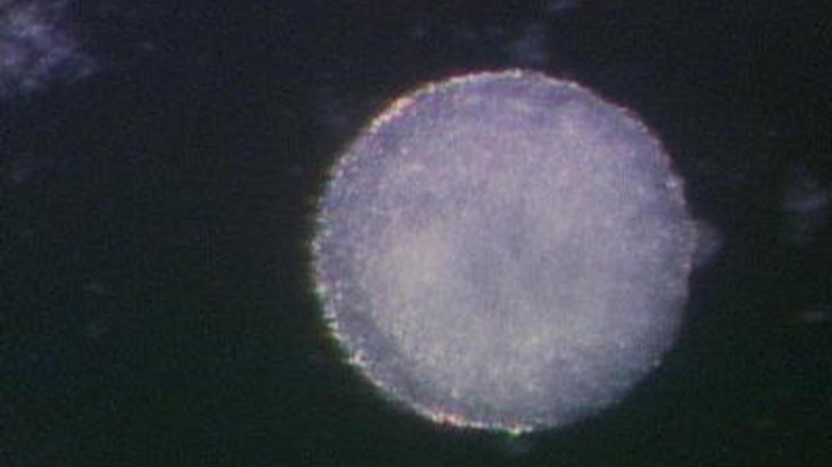 A Wnt-dow of opportunity for human Neural Crest formation | Stem Cell ...