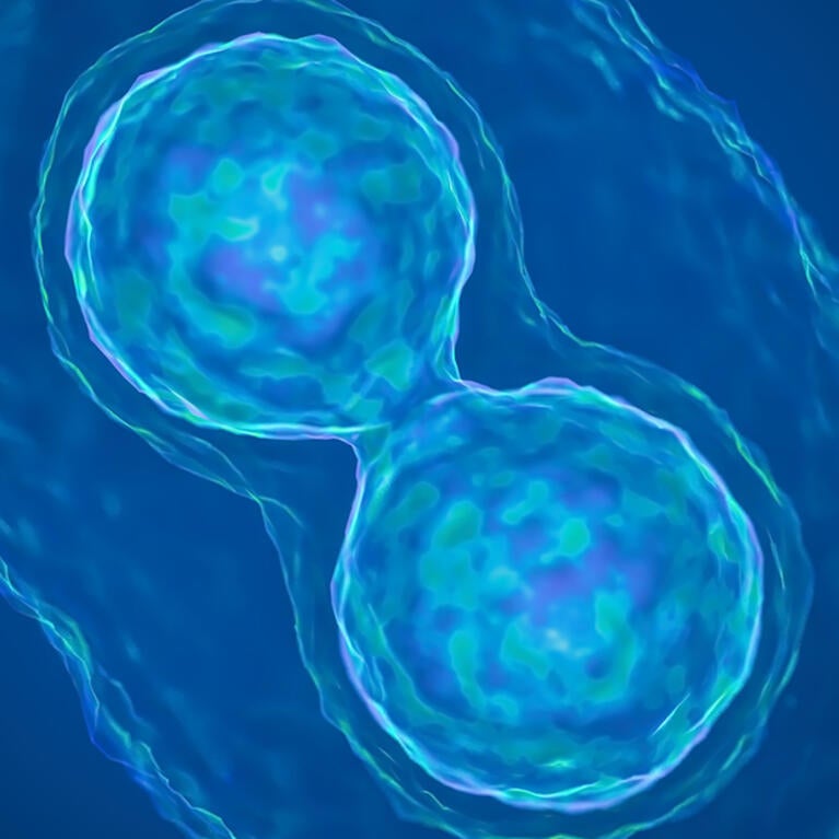 iStock- Cells Forming